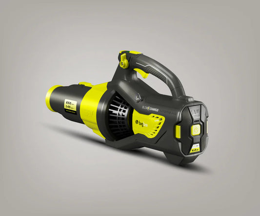 Secador de coche inalámbrico BigBoi BlowR ChargD