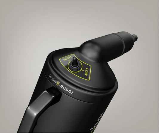 Secador de coche BigBoi BlowR Buddi