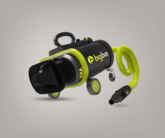 Secador de coche BigBoi BlowR Pro+