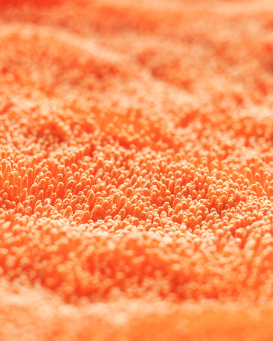 Toalla de secado CarPro DHydrate BOLD 70 x 90 cm